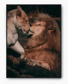 plakat-a3-30x40-w-ramie-imp-zwierzeta-09