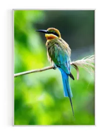 plakat-a3-30x40-w-ramie-rmp-ptak-07