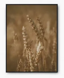plakat-a3-30x40-w-ramie-imp-zboze-08