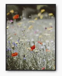 plakat-a3-30x40-w-ramie-imp-kwiaty-19