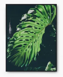 plakat-a3-30x40-w-ramie-imp-monstery-16