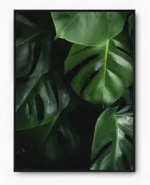 plakat-a3-30x40-w-ramie-imp-monstery-01
