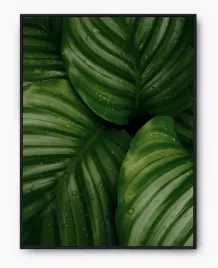 plakat-a3-30x40-w-ramie-imp-liscie-06