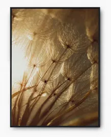 plakat-a3-30x40-w-ramie-imp-dmuchawiec-04