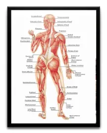 plakat-a3-30x40-w-ramie-tmp-edu-09