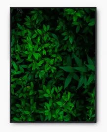 plakat-a3-30x40-w-ramie-imp-liscie-05