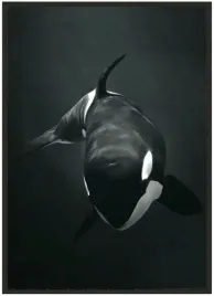 plakat-a5-13x18-w-ramie-duzo-wzorow-zwierzeta-11