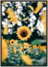 plakat-a4-21x30-w-ramie-slonecznik-03