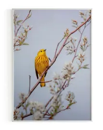 plakat-a3-30x40-w-ramie-rmp-ptak-05