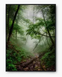 plakat-a3-30x40-w-ramie-imp-las-19