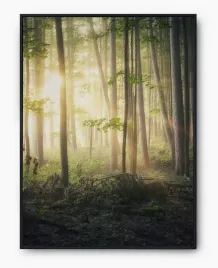 plakat-a3-30x40-w-ramie-imp-las-03