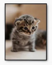 plakat-a3-30x40-w-ramie-imp-zwierzatka-cute-06