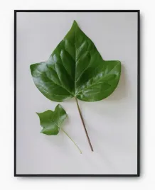 plakat-a3-30x40-w-ramie-imp-liscie-11