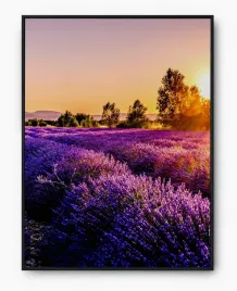 plakat-a3-30x40-w-ramie-imp-natura-19