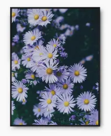 plakat-a3-30x40-w-ramie-imp-kwiaty-08