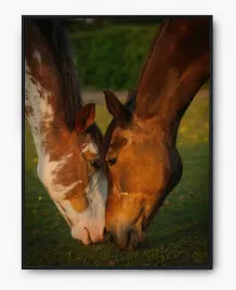 plakat-a3-30x40-w-ramie-imp-konie-16