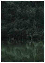 plakat-a3-30x40-w-ramie-tmp-las-01