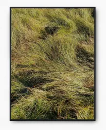 plakat-a3-30x40-w-ramie-imp-trawa-15