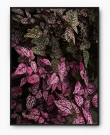 plakat-a3-30x40-w-ramie-imp-liscie-13