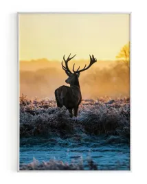 plakat-a3-30x40-w-ramie-rmp-jelen-01