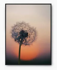 plakat-a3-30x40-w-ramie-imp-dmuchawiec-06