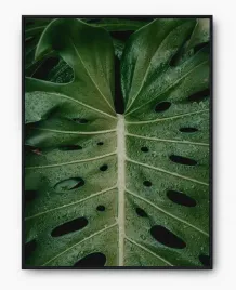 plakat-a3-30x40-w-ramie-imp-monstery-19