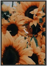 plakat-a4-21x30-w-ramie-slonecznik-05