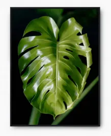 plakat-a3-30x40-w-ramie-imp-monstery-18