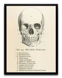 plakat-a3-30x40-w-ramie-tmp-edu-10