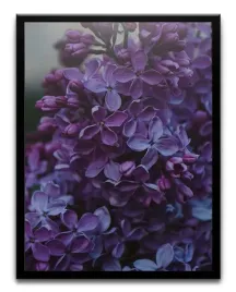 plakat-a3-30x40-w-ramie-tmp-kwiaty-07