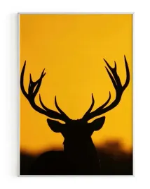 plakat-a3-30x40-w-ramie-rmp-jelen-05