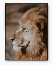 plakat-a3-30x40-w-ramie-imp-zwierzeta-15