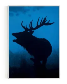 plakat-a3-30x40-w-ramie-rmp-jelen-03