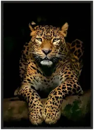 plakat-a4-21x30-w-ramie-duzo-wzorow-zwierzeta-19