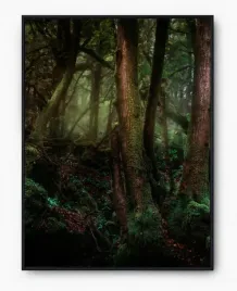 plakat-a3-30x40-w-ramie-imp-las-20