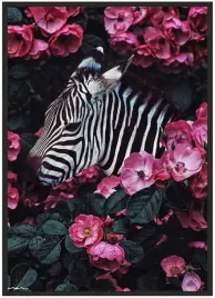 plakat-a3-30x40-w-ramie-duzo-wzorow-zwierzeta-17