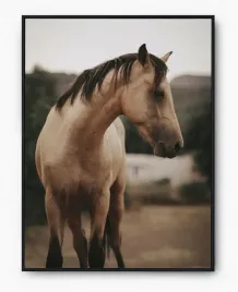 plakat-a3-30x40-w-ramie-imp-konie-18