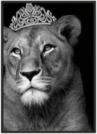 plakat-a5-13x18-w-ramie-duzo-wzorow-zwierzeta-14