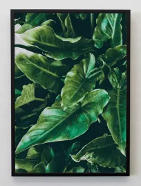 plakat-a3-30x40-w-ramie-jmp-liscie-07