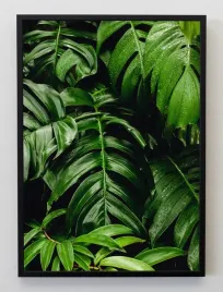 plakat-a3-30x40-w-ramie-jmp-liscie-11