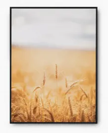 plakat-a3-30x40-w-ramie-imp-zboze-06