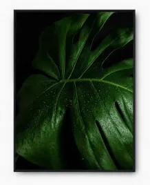 plakat-a3-30x40-w-ramie-imp-monstery-07