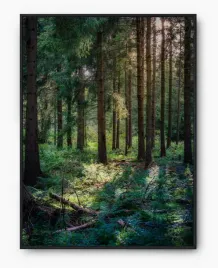 plakat-a3-30x40-w-ramie-imp-las-09