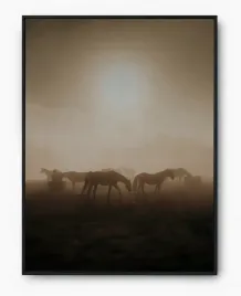 plakat-a3-30x40-w-ramie-imp-konie-14