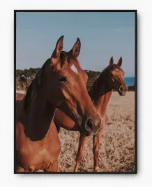 plakat-a3-30x40-w-ramie-imp-konie-07