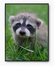 plakat-a3-30x40-w-ramie-imp-zwierzatka-cute-05