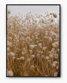 plakat-a3-30x40-w-ramie-imp-bawelna-01