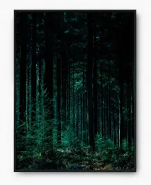 plakat-a3-30x40-w-ramie-imp-las-15