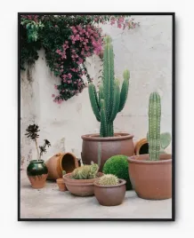 plakat-a3-30x40-w-ramie-imp-kaktusy-13