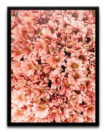 plakat-a3-30x40-w-ramie-tmp-kwiaty-02